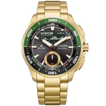 CITIZEN Promaster JV3002-51E