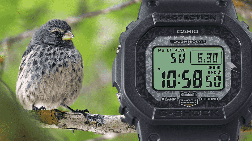 G-SHOCK x Charles Darwin Foundation GW-B5600CD -1A3ER